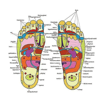 Acupuncture foot massage shoes